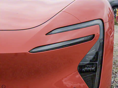 2025�� Max�����