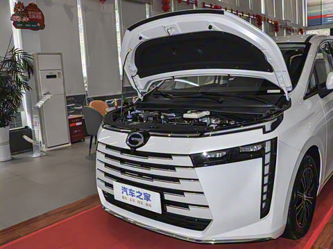 2024�� ��ҫϵ�� 2.0L ���ڰ�