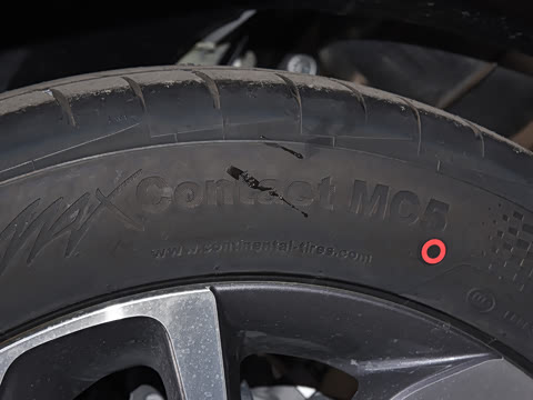 2022�� ���춯 ����������