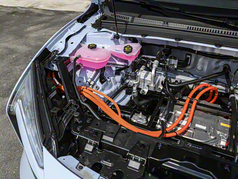 2025�� ���05 ������