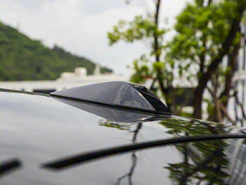 2025�� ����������Pro