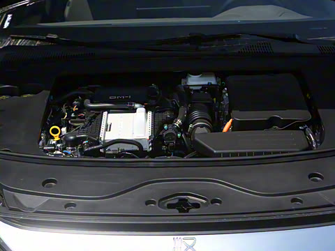 2025�� DM-i �Ǽݰ� 125KM��Ӣ��