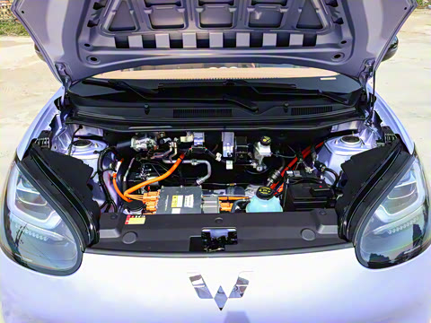 2025�� 333km ������