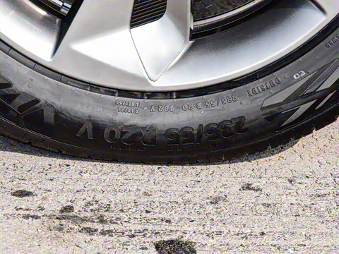 2023�� ������������