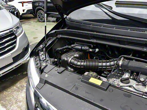 2025�� PLUS 2.0L ������ 9��