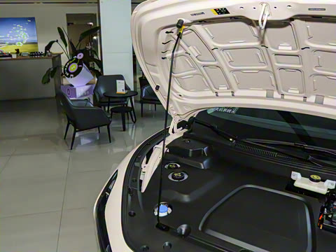 2025�� 620 �������� Plus