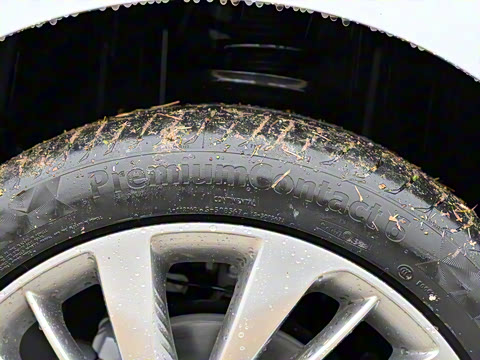 2025�� ������Plus ����Avenir��ά��