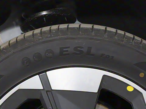 2025�� �������캽��