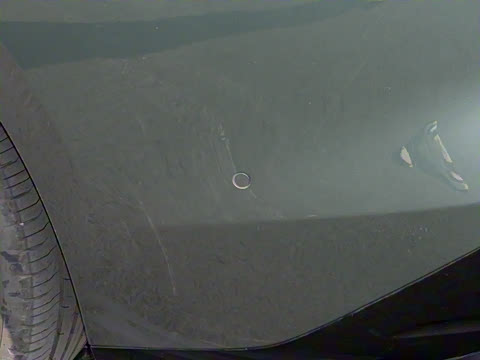 2025�� ���� Max ����������ʻ