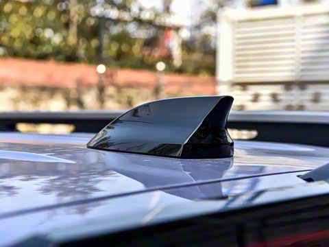 2025�� 2.0T DCT ����Ů��