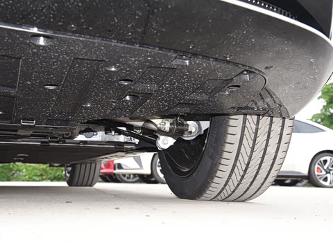 2025�� Max�����