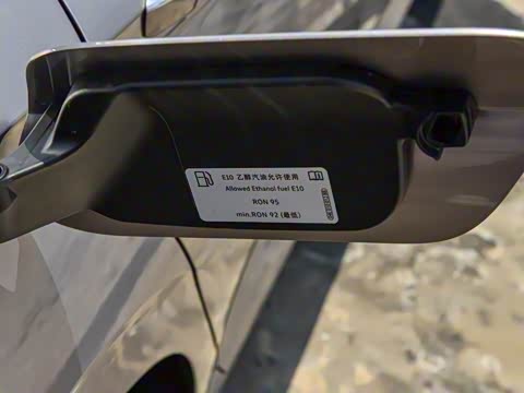 2025�� �Ŀ�� 300TSI DSG��Խ��