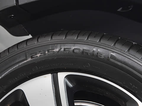 2026�� �鶯������