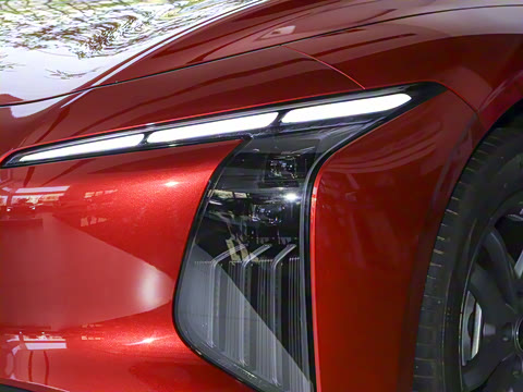 2024�� 555������