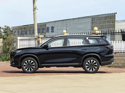 2025�� 290TGDI DCT�˷�� 7��