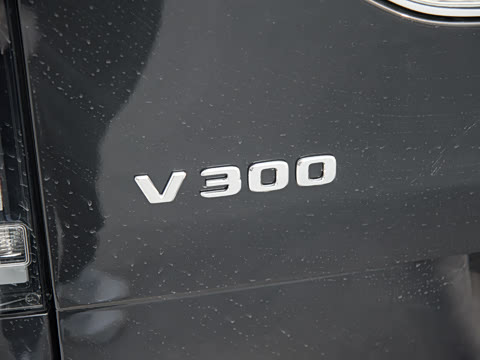 2024�� V 300 �캽��