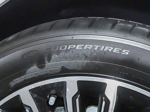 2025�� 1.5T 106KM������ 7�� �������