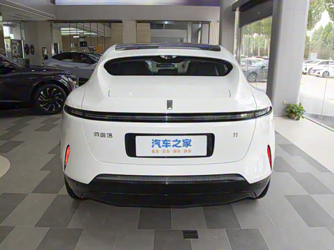 2025�� Max �����