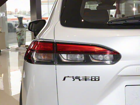 2024�� 2.0L ���ܵ��˫�� ������