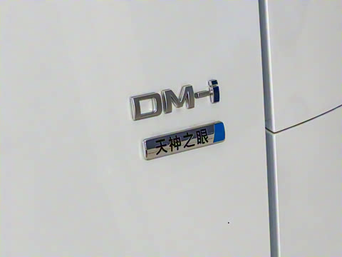 2025�� DM-i �Ǽݰ� 1100 ������