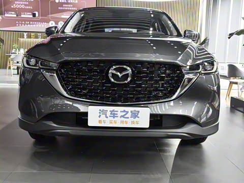 2025�� 2.0L �Զ�����������