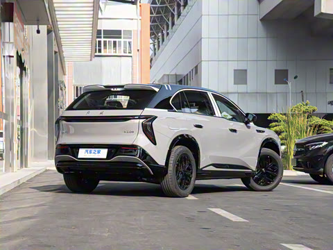 2025�� 730 Max������