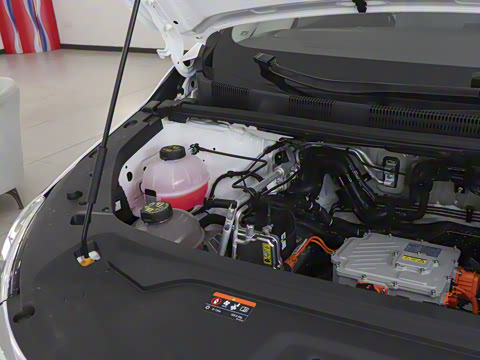 2025�� �������캽��