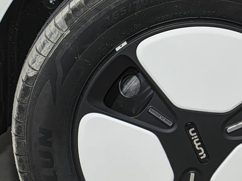 2025�� 301km �ȱ���