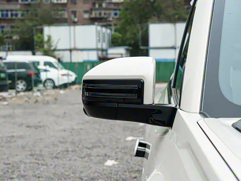 2025�� 501KM ����Max��