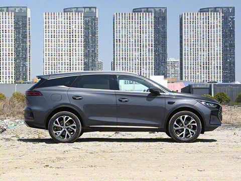 2025�� �Ǽݰ� DM-i 115KM �콢��