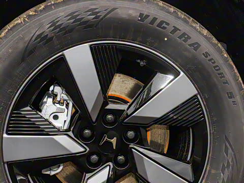 2025�� ����������Pro