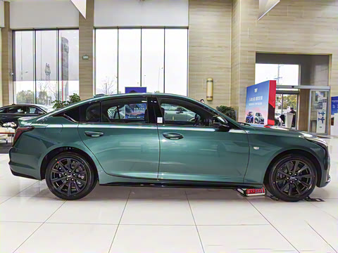 2025�� 28T �������ܰ�