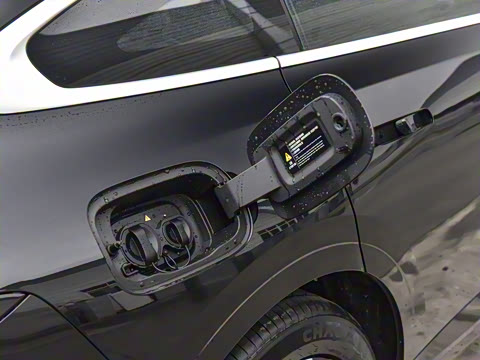 2025�� ��������� 515�����