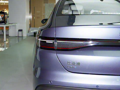 2025�� DM-i �Ǽݰ� 55KM�����