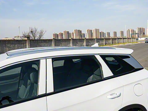 2025�� �ڶ��� �Ǽݰ� DM-i 115KM��Խ��