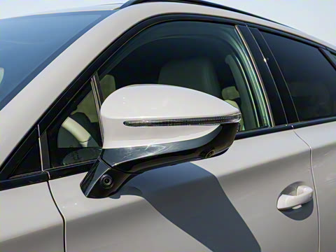 2025�� �Ǽݰ� DM-i 115KM ������