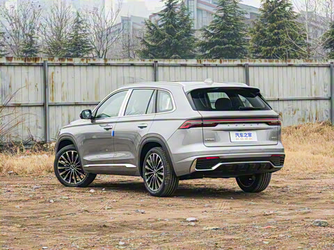 2025�� ������ 2.0TD �Զ��񳯰�