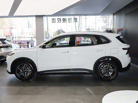 2025�� 425plus ������