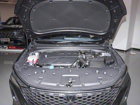 2024�� 1.5T DCT������