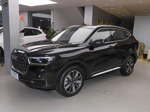 2023�� ������ 1.5T �Զ��ھ���