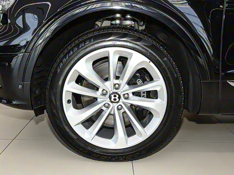 2024�� 4.0T V8 ������