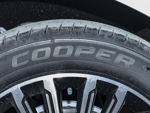 2025�� 1.5T 106KM������ 7�� �������