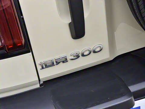 2025�� 2.0T ��ս��