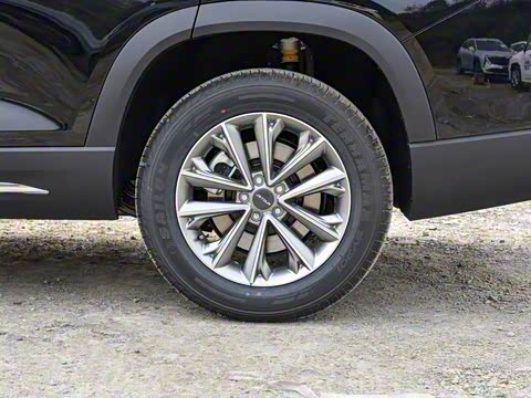 2025�� 1.6TD �ֶ����ʰ� 5��