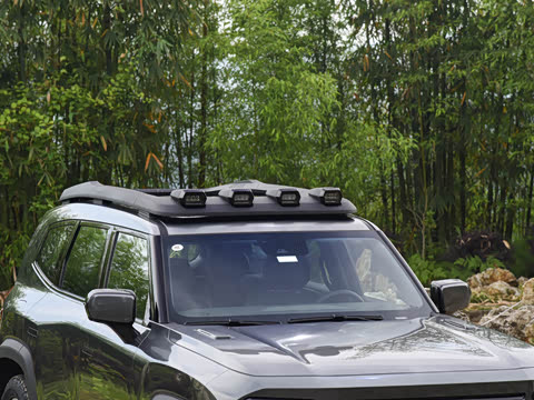 2024�� ����������