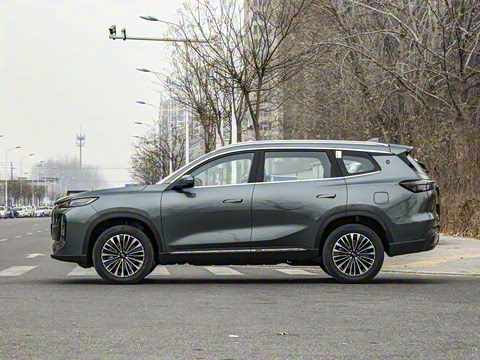 2025�� 1.5T 116km ������ 5��