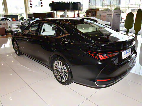 2025�� 300h ������