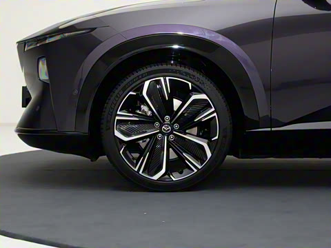 2025�� ����600 Max