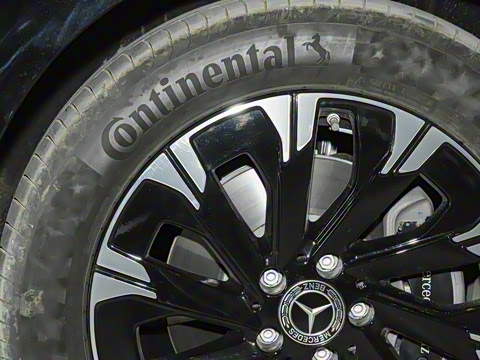 2025�� �������������