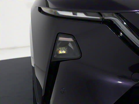 2025�� ����600 Max